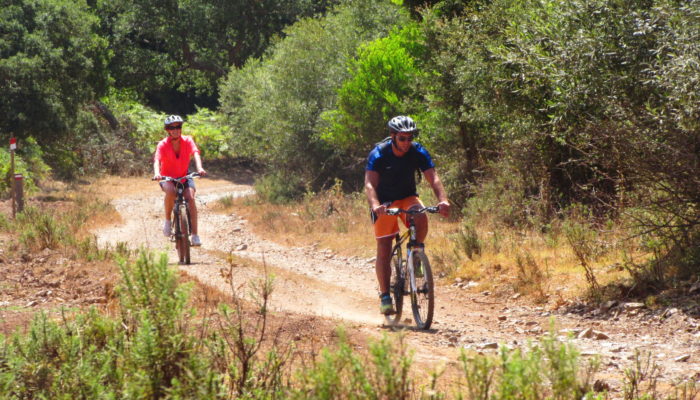 See Algarve's Local flora and Fauna up close on a guided bike tour