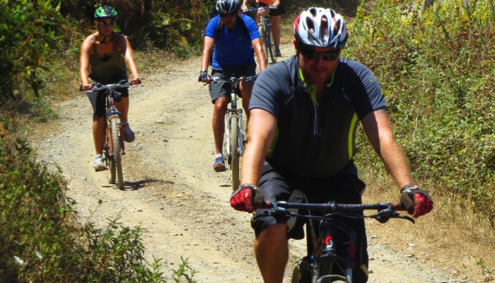 See local ecology and wildlife of Algarve, Portugal on a bike